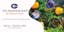 Picture of 3ft x 6ft - Banner - Aquarium - 01 