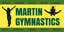 Picture of 3ft x 6ft - Banner - Other Sports - 09