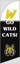 Picture of 8ft x 2ft - Feather Flag -  Sports - 12