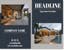 Picture of 4" x 6" - Postcards - Real Estate - 03