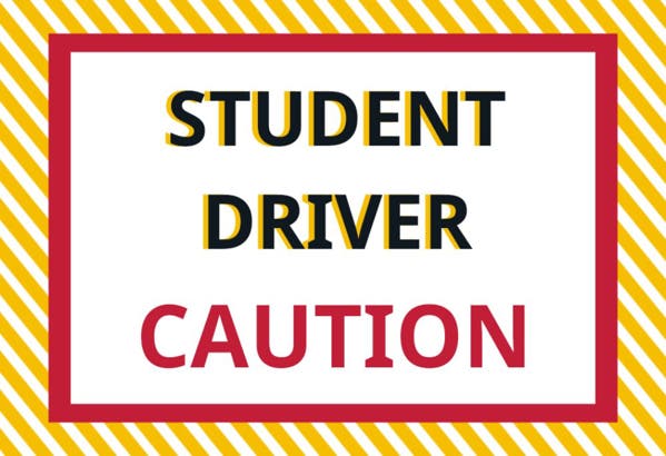 Picture of 12" x 18" - Car Magnet - Student Driver - 02