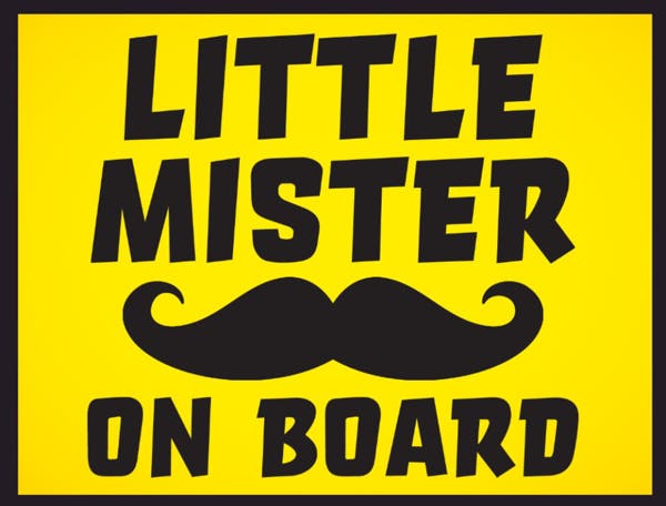 Picture of 18" x 24" - Car Magnet - Baby On Board - 03