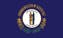 Picture of 3ft x 5ft - Standard Flag - State Flag - 19