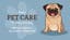 Picture of Business Card - Petcare  - Business Card Magnet