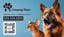 Picture of Pet Care 2  - Horizontal - Business Card Magnet