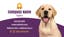 Picture of Pet Care 4  - Horizontal - Business Card Magnet